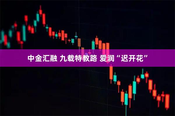 中金汇融 九载特教路 爱润“迟开花”